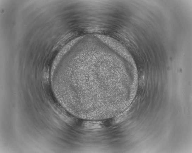 X0000086970179200705141700