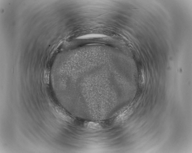 X0000086970180200705141700