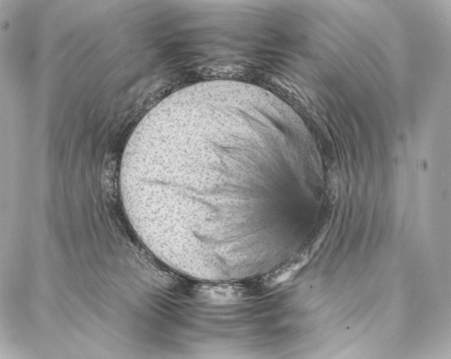 X0000086970181200705141700