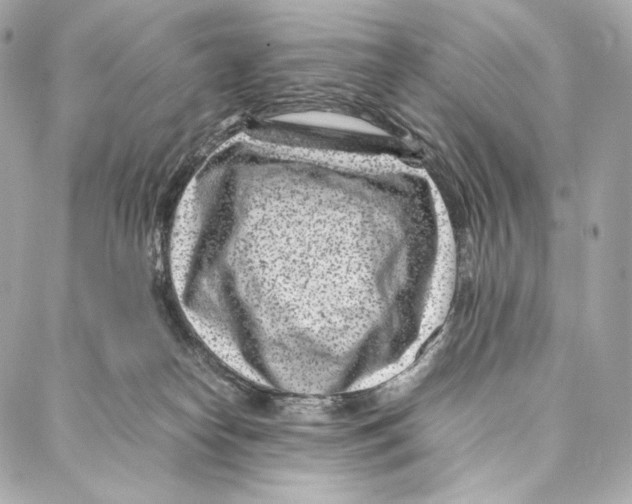 X0000086970182200705141700