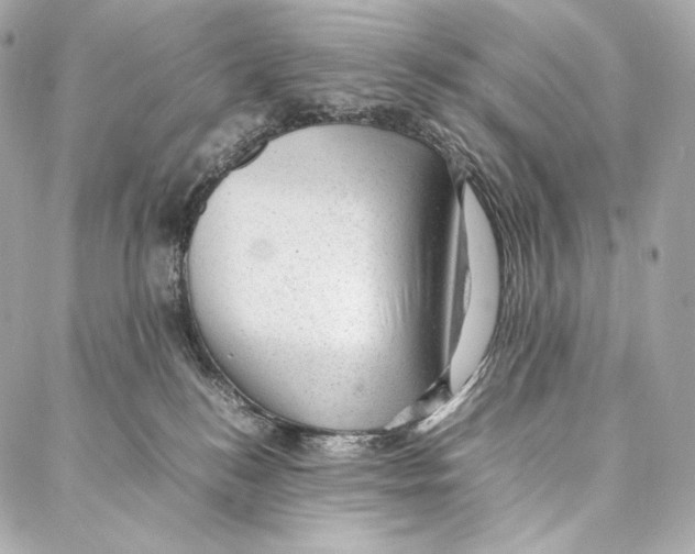 X0000086970184200705141700