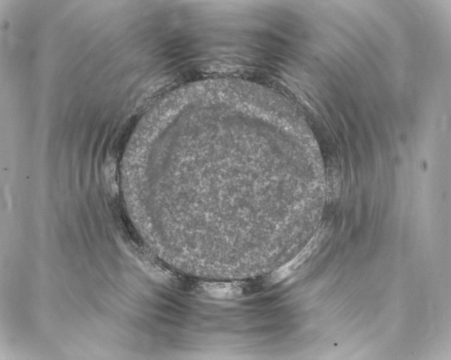 X0000086970187200705141700