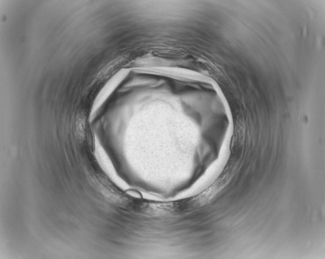 X0000086970188200705141700