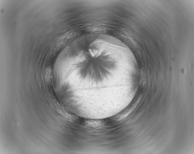 X0000086970189200705141700