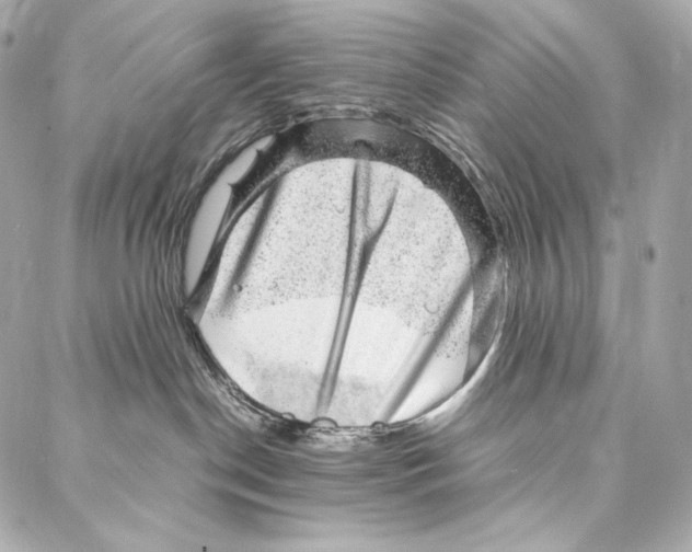 X0000086970190200705141700