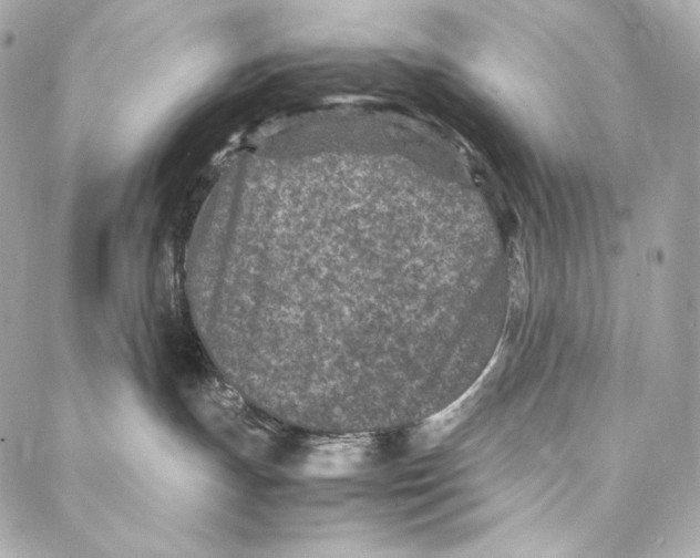 X0000086970191200705141700