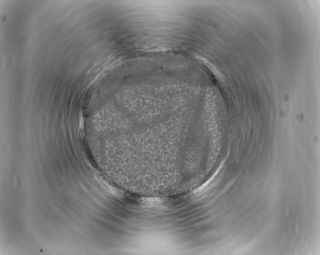 X0000086970192200705141700