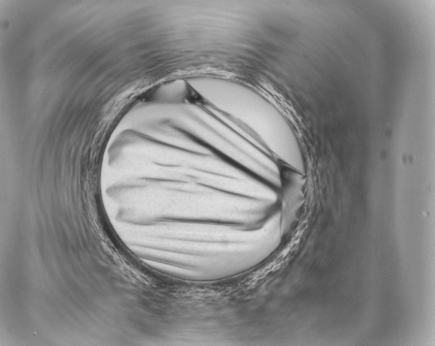 X0000086970193200705141659