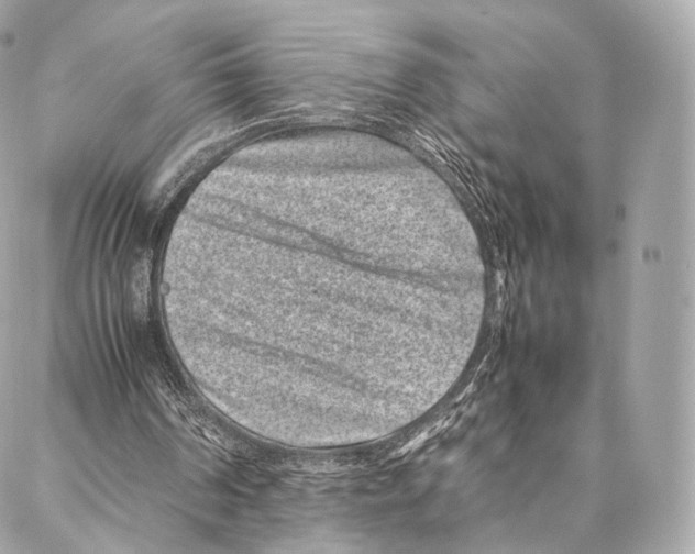 X0000086970194200705141659