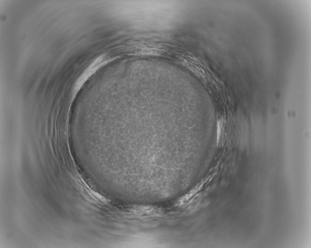 X0000086970195200705141659