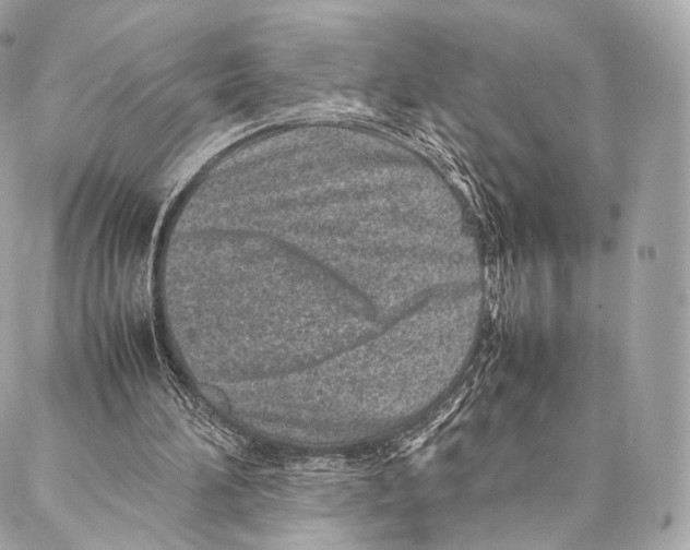 X0000086970196200705141659