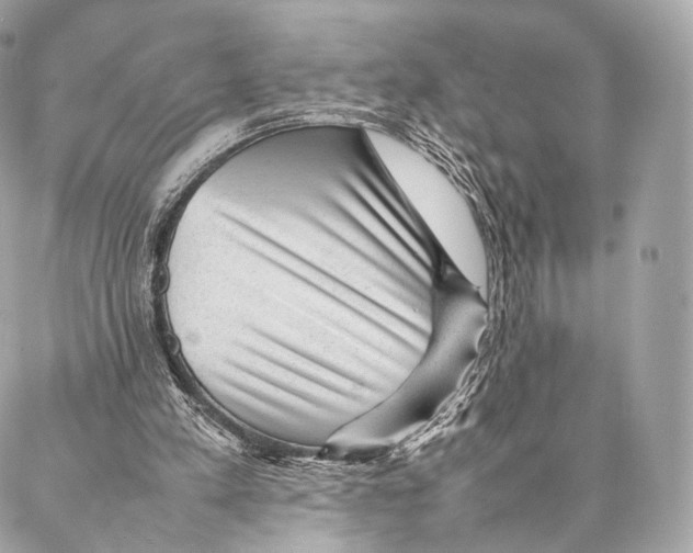 X0000086970197200705141659