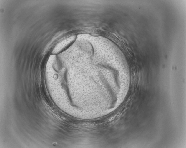 X0000086970198200705141659