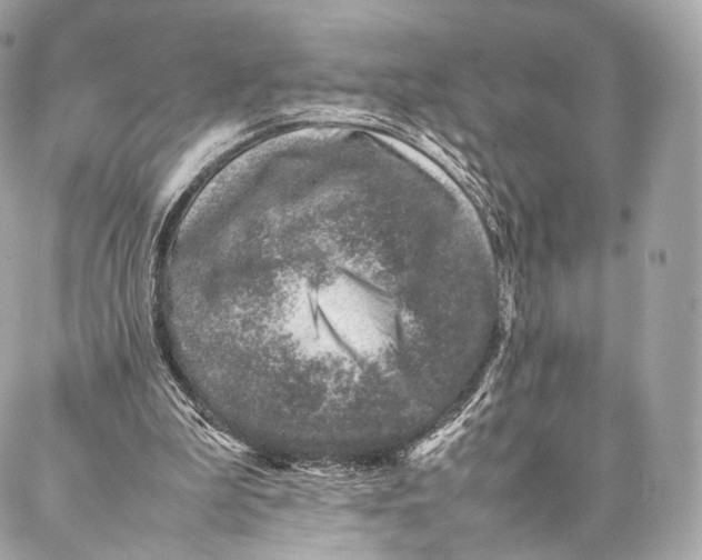 X0000086970199200705141659