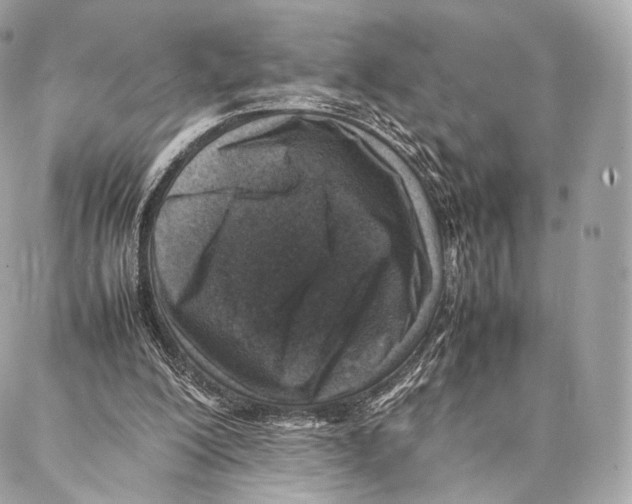 X0000086970200200705141659