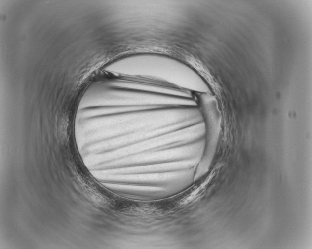 X0000086970201200705141659