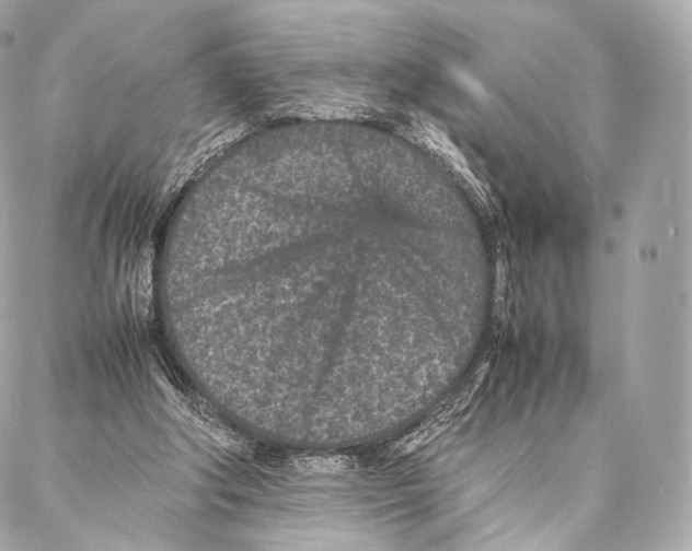 X0000086970202200705141659