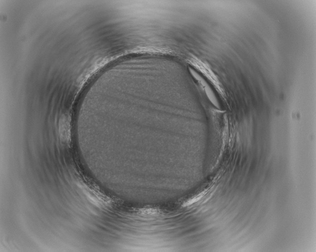 X0000086970204200705141659