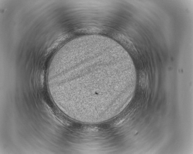 X0000086970206200705141659