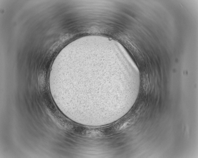 X0000086970208200705141659