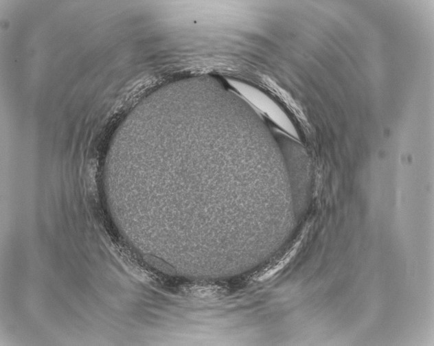 X0000086970209200705141659