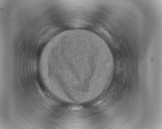 X0000086970210200705141659