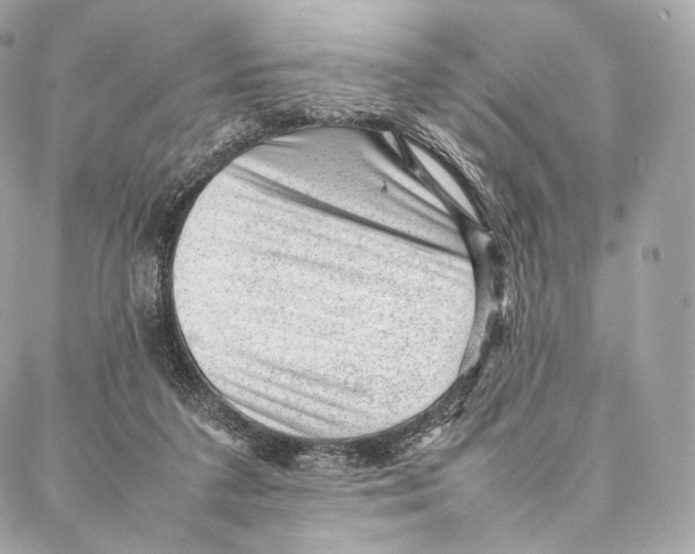 X0000086970211200705141659