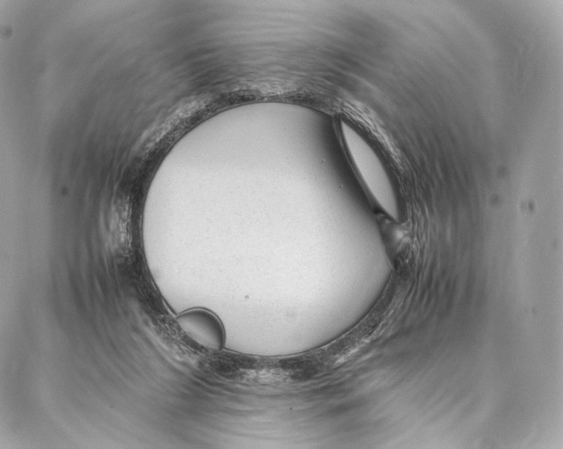 X0000086970212200705141659