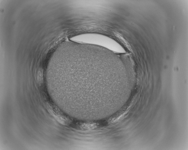 X0000086970213200705141659