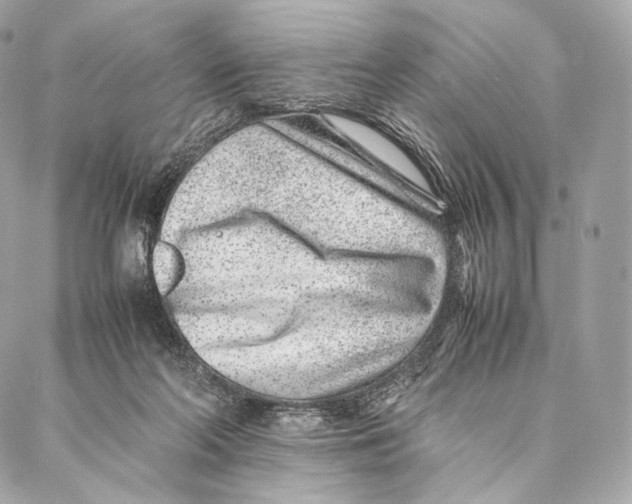 X0000086970214200705141659