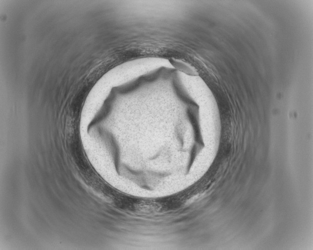 X0000086970215200705141659