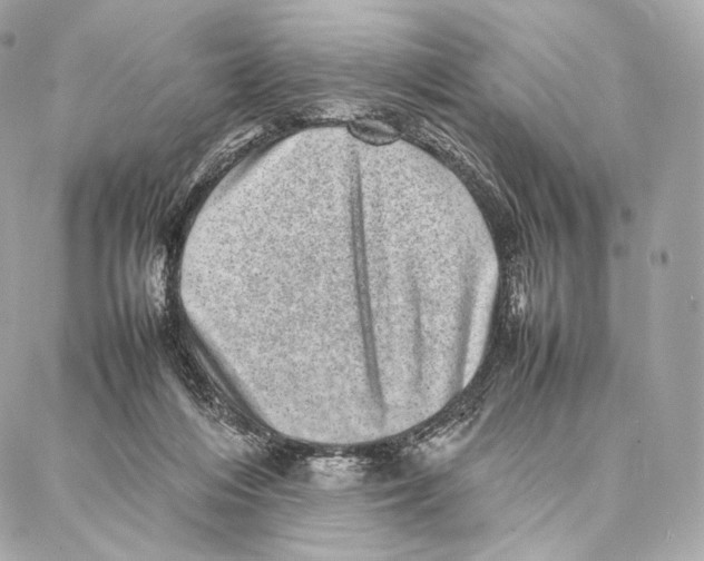 X0000086970216200705141659