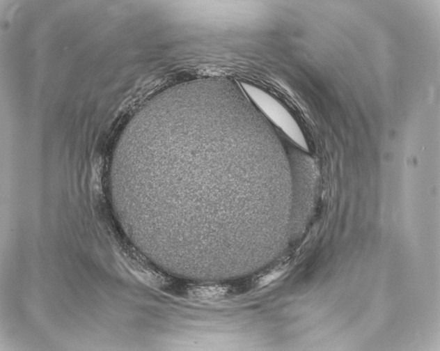 X0000086970217200705141659