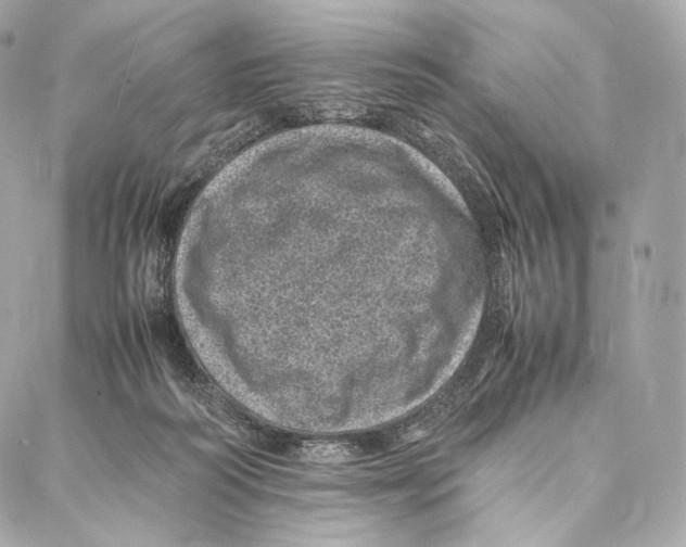 X0000086970218200705141659