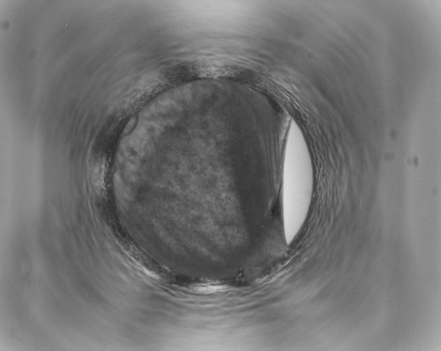 X0000086970219200705141659