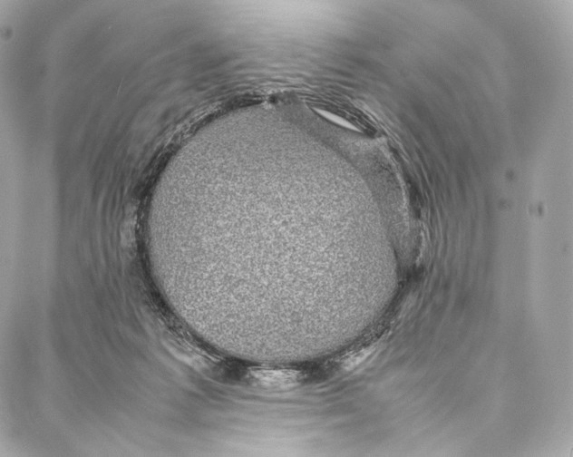 X0000086970221200705141659