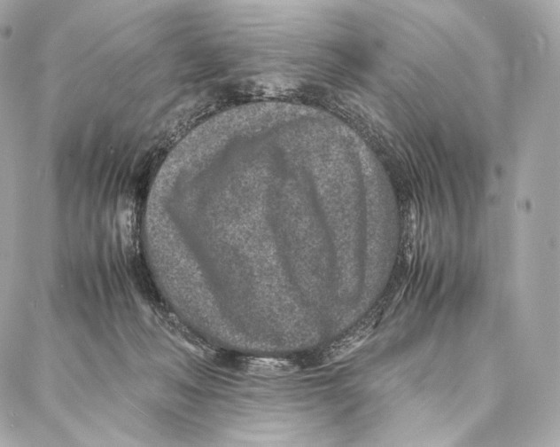 X0000086970222200705141659