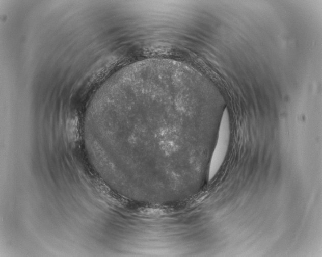 X0000086970224200705141659