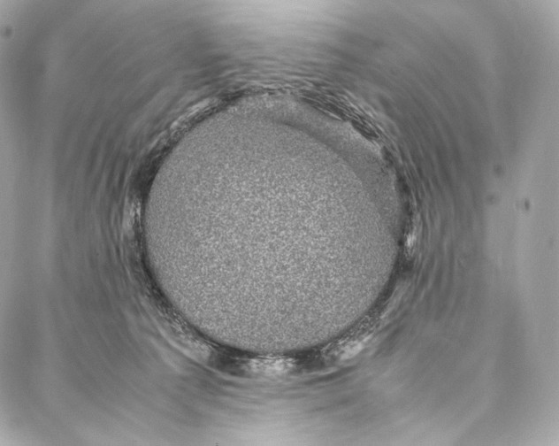 X0000086970225200705141659