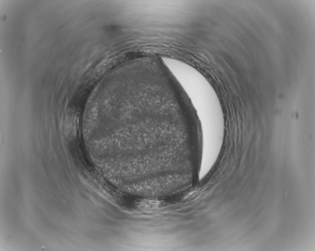 X0000086970227200705141659