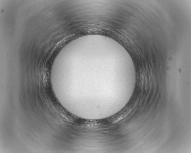 X0000086970228200705141659