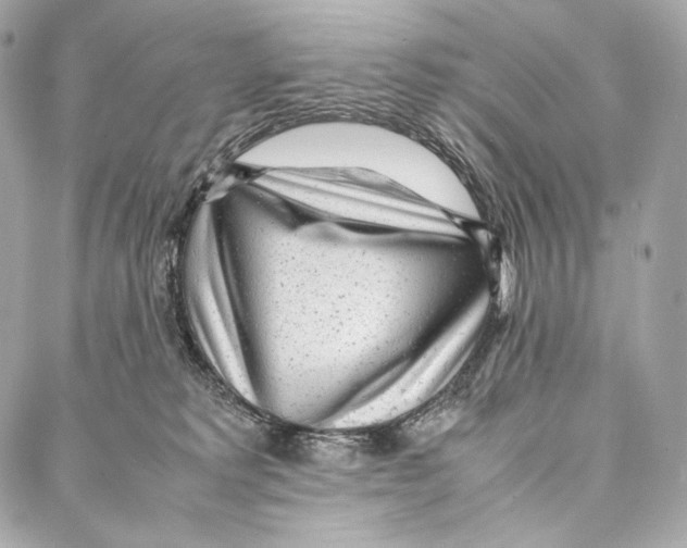 X0000086970229200705141659