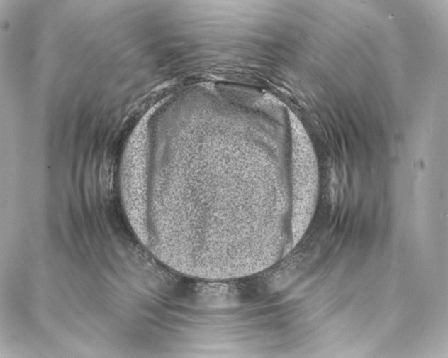 X0000086970230200705141659