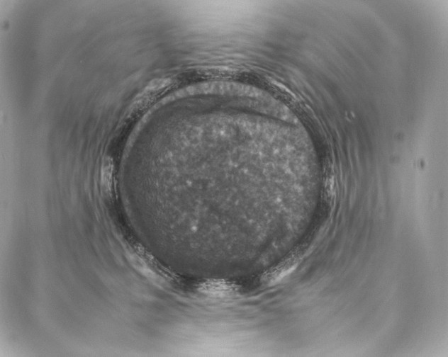 X0000086970231200705141659