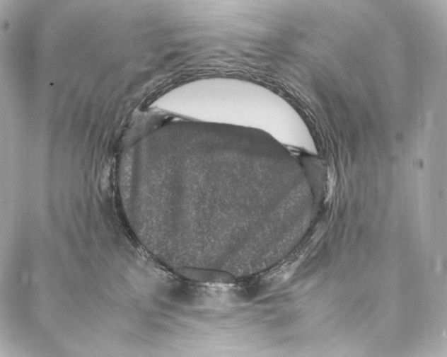 X0000086970233200705141659