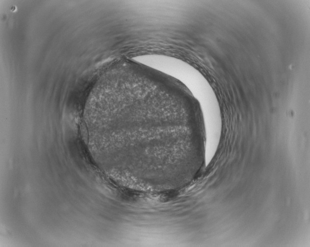 X0000086970235200705141659