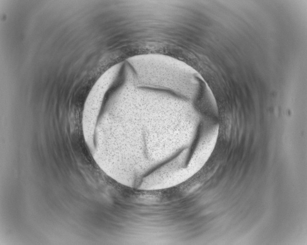 X0000086970236200705141659