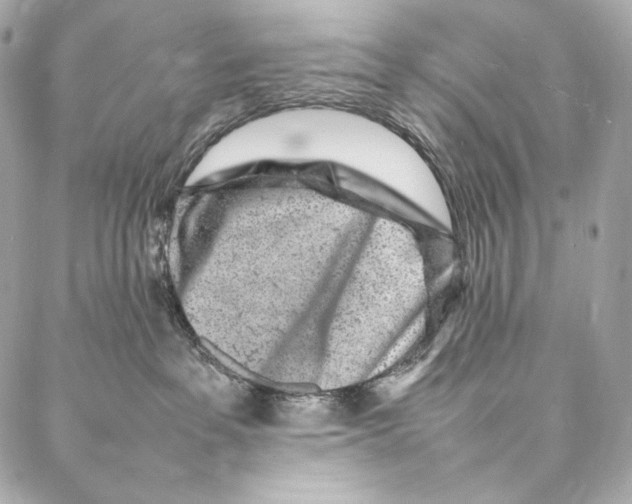 X0000086970237200705141659