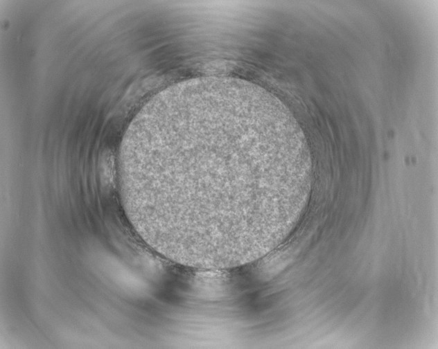 X0000086970240200705141658