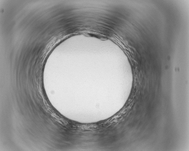 X0000086970241200705141658